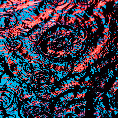 DRIP #428