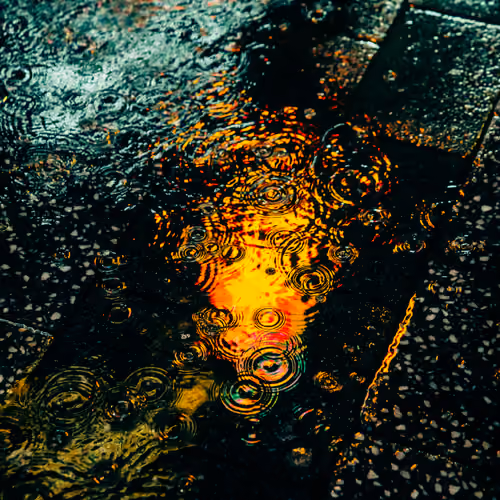 DRIP #683