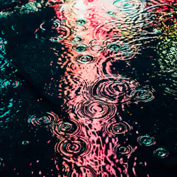 DRIP #557