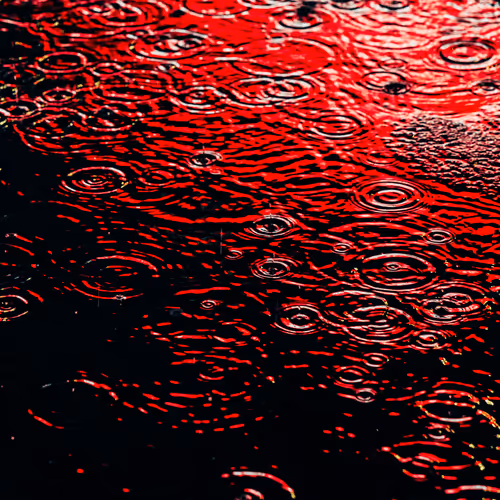 Drip Drop By Dave Krugman