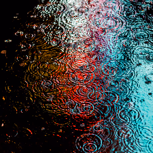 Drip Drop By Dave Krugman
