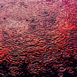 DRIP #172