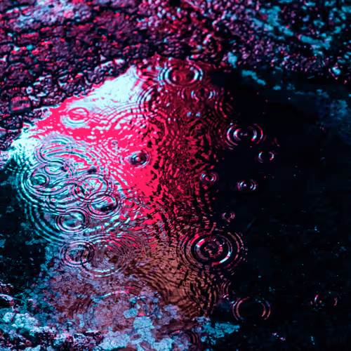 Drip Drop By Dave Krugman
