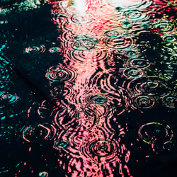 DRIP #356