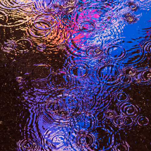 Drip Drop By Dave Krugman