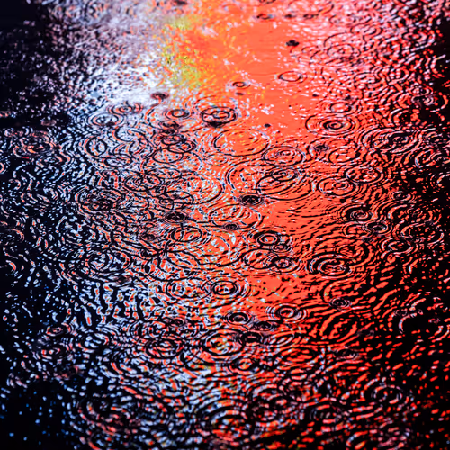 Drip Drop By Dave Krugman