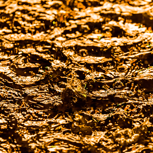 Drip Drop By Dave Krugman
