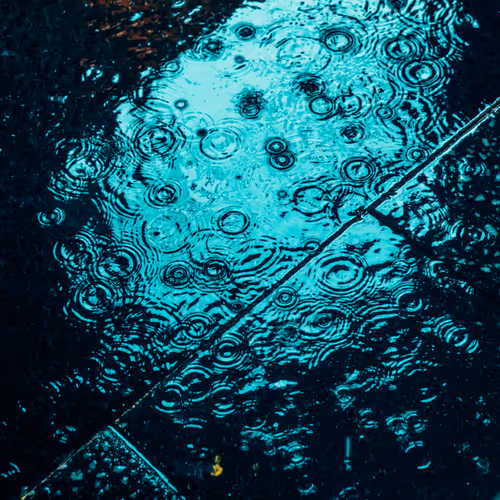 DRIP #161