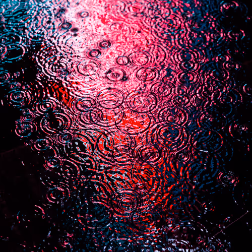DRIP #426
