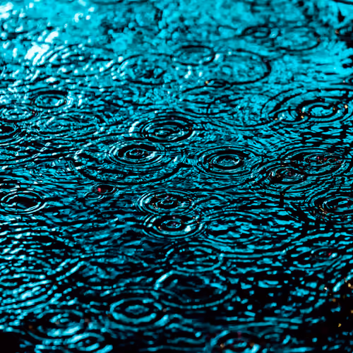DRIP #967