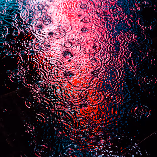 DRIP #205