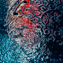 DRIP #533