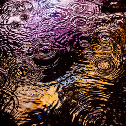 DRIP #984