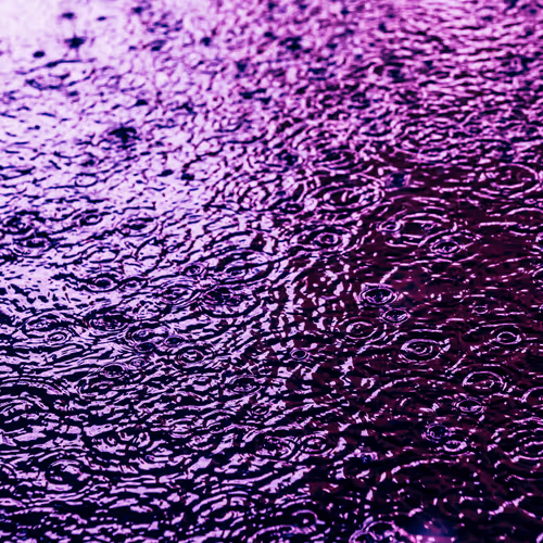 DRIP #226