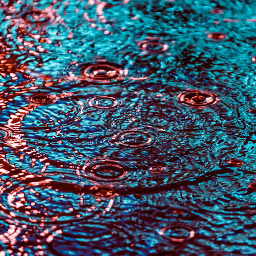 Drip Drop By Dave Krugman