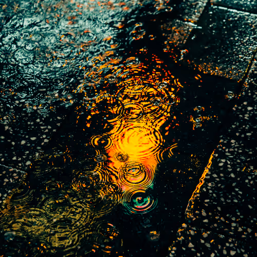 Drip Drop By Dave Krugman