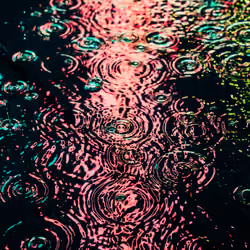 DRIP #554