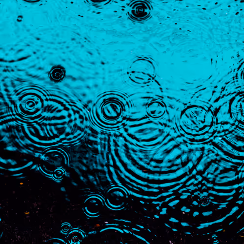 Drip Drop By Dave Krugman