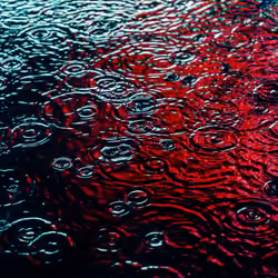DRIP #406