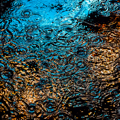 DRIP #590