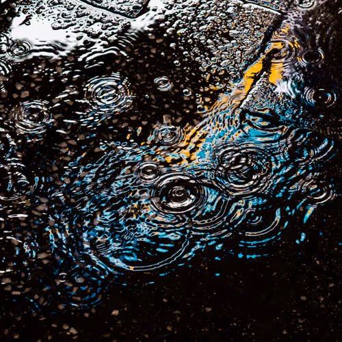 Drip Drop By Dave Krugman