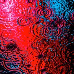 DRIP #960