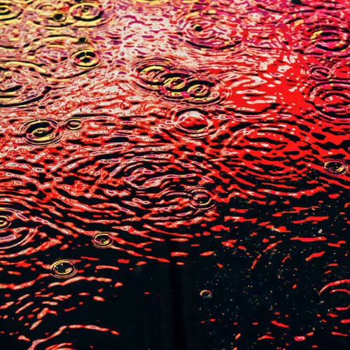 DRIP #395