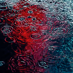 DRIP #224