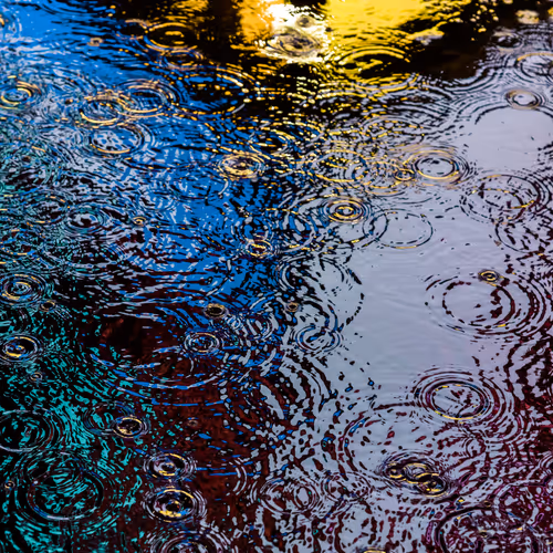 Drip Drop By Dave Krugman