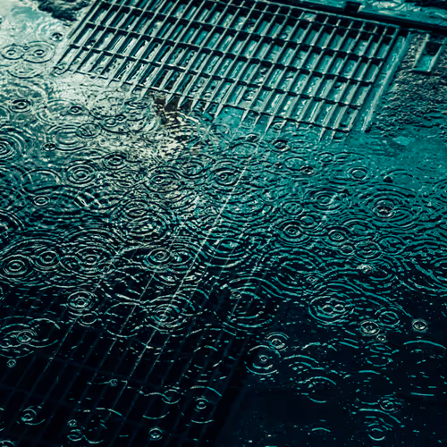 Drip Drop By Dave Krugman