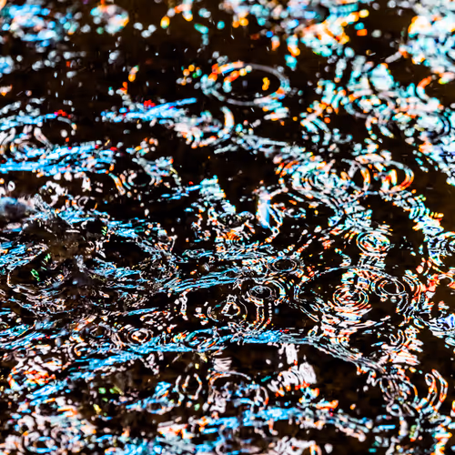 DRIP #982