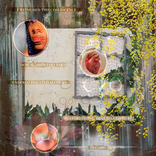 Coalescence 2