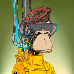 2064
