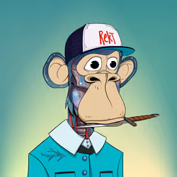 3677