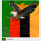 Zambia