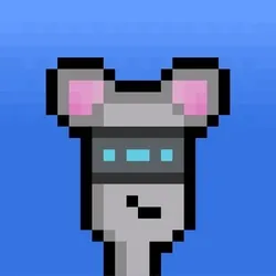Hammie #2336