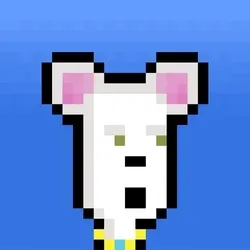 Hammie #309