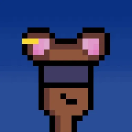 Hammie #3469