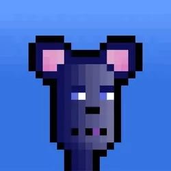 Hammie #1567