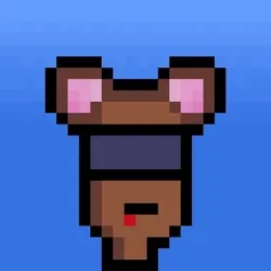 Hammie #903