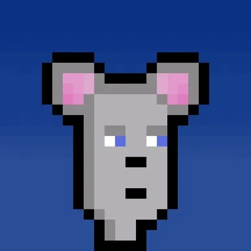 Hammie #3168