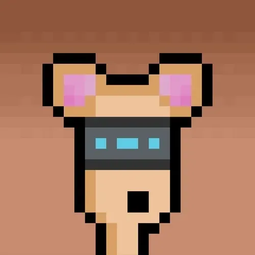 Hammie #470