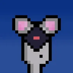 Hammie #1299