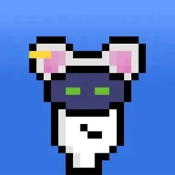Hammie #313