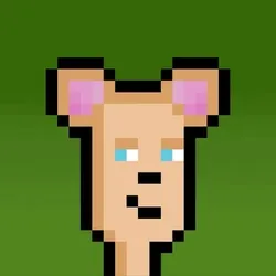 Hammie #1300