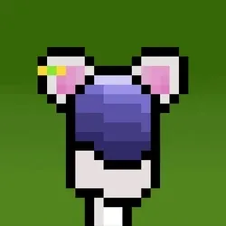 Hammie #3944