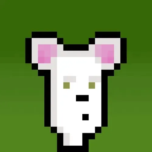 Hammie #245
