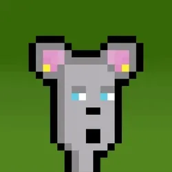 Hammie #694