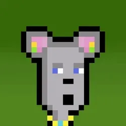 Hammie #173