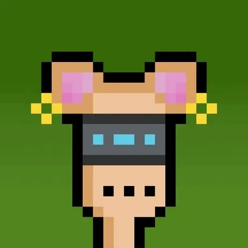 Hammies Official